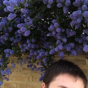 Meet your Posher, Joyce